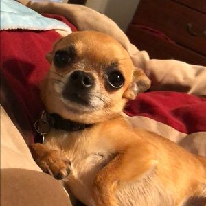 Meet your Posher, Jodi